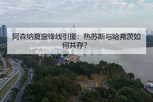 a-sen-na-xia-chuang-feng-xian-yin-yuan-re-su-si-yu-ha-fu-ci-ru-he-gong-cun-3-250.jpg