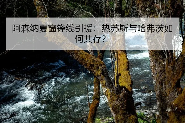 阿森纳夏窗锋线引援：热苏斯与哈弗茨如何共存？
