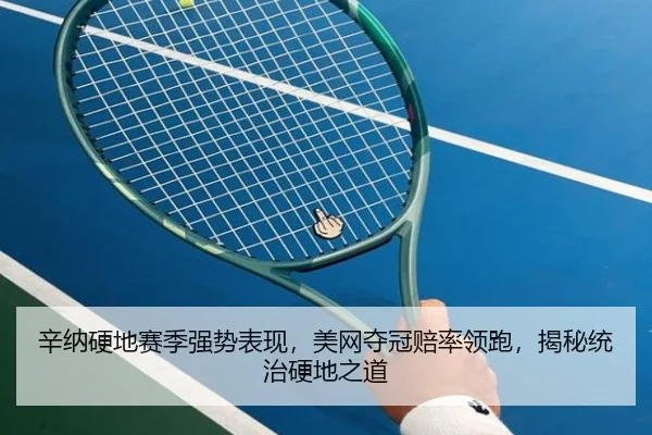 辛纳硬地赛季强势表现，美网夺冠赔率领跑，揭秘统治硬地之道