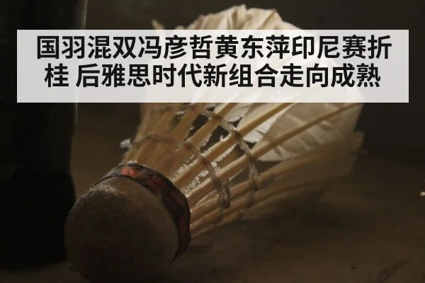 国羽混双冯彦哲黄东萍印尼赛折桂 后雅思时代新组合走向成熟