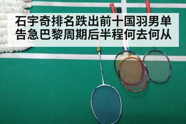 badminton match